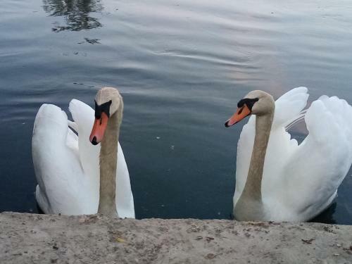 Bed & Breakfast Les Tonneaux de L'eure Logement Insolite