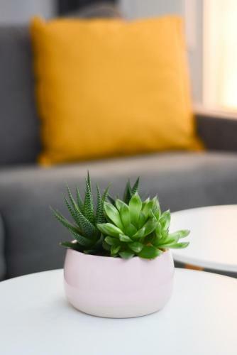 Apartamento L'ind�pendant de La Rue Du Tapis Vert