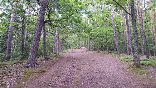Bed & Breakfast Les Iris Chambres D?h�te