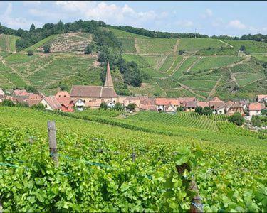 Apartamento Les Vignerons