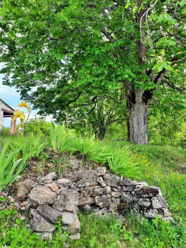 Apartamento Le Marronnier