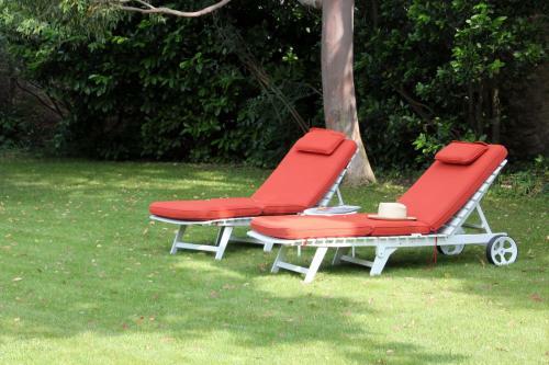 Paradix Holiday Apartment 1