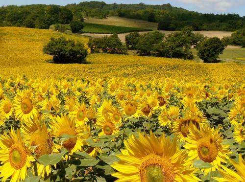 Bed & Breakfast Bastida De Beata