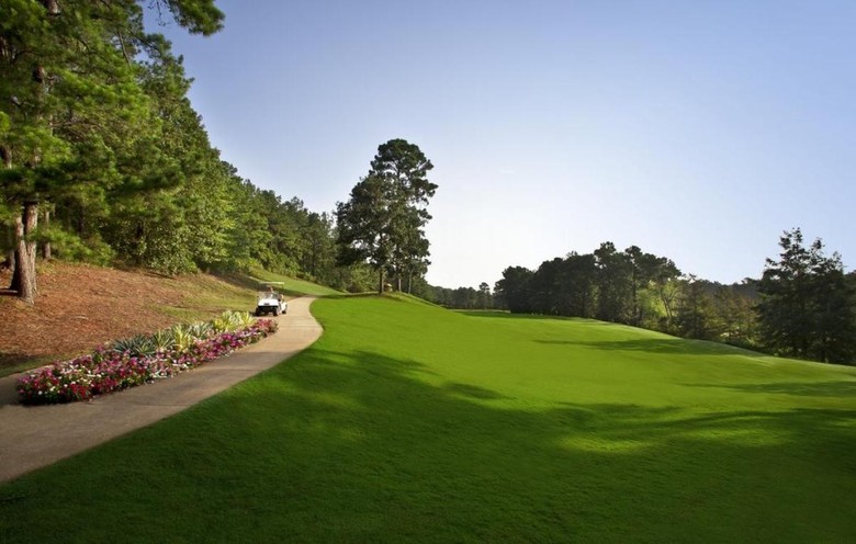 Hotel Cypress Bend Golf Resort And Conference Center