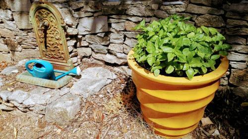 Bed & Breakfast N�mes En Garrigues