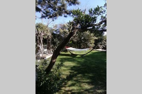 Grande Maison - Piscine. Proche Camargue-c�vennes
