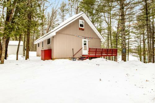 Looney Bin Cabin