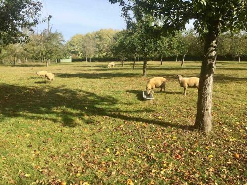 Demeure Normande Authentique En Bord de Rivi�re