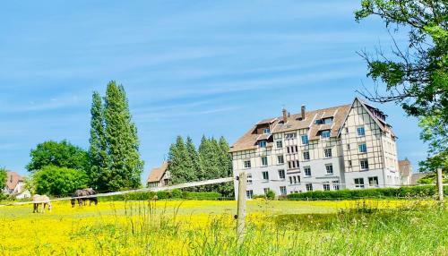 Sure Hotel By Best Western Port J�rome - Le Havre