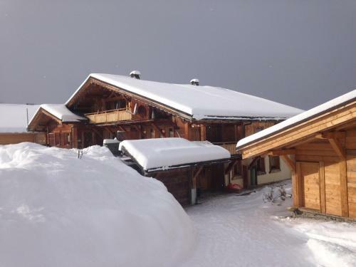 Aparthotel La Ferme Des Georgi�res