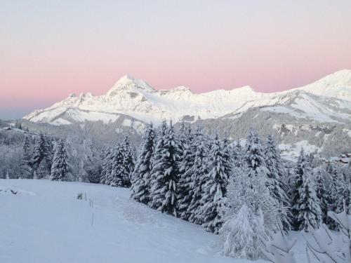 Aparthotel La Ferme Des Georgi�res