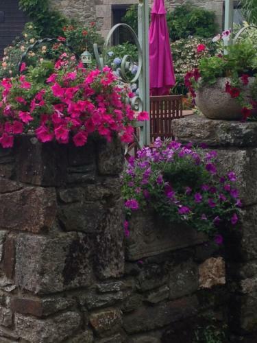Apartamento Le Petit Chateau, Matisse