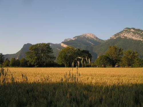 Bed & Breakfast Les Champs Dor�s