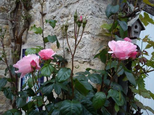 Bed & Breakfast Le Clos Des Treilles