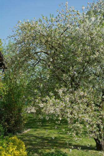 Bed & Breakfast Les Rendzines