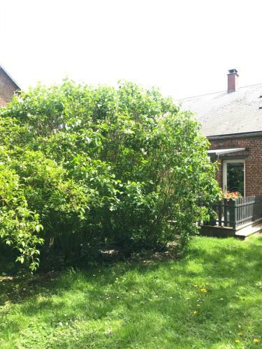 Bed & Breakfast Chambre D'h�tes "coquelicot"
