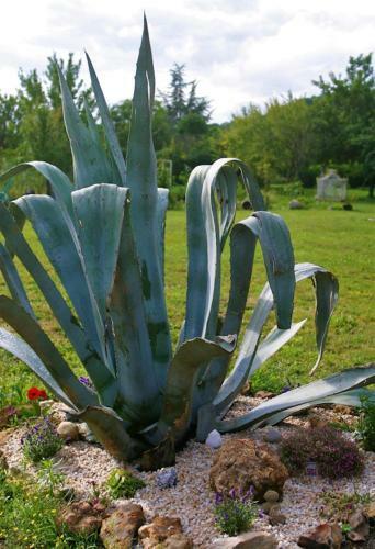 Bed & Breakfast Les Petites Mirabelles