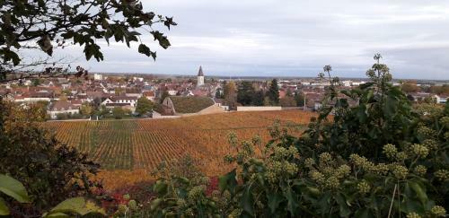Suite Independante A Nuits