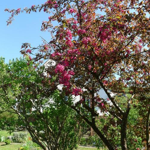 Apartamentos Un G�te Dans La Vall�e