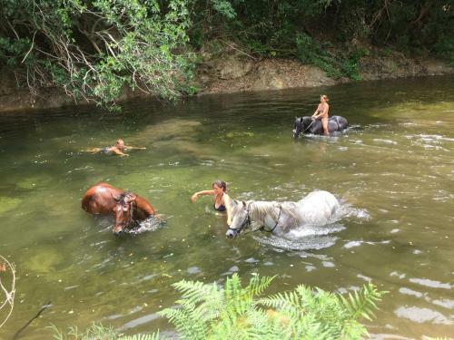 Agroturismo Chjassi Di Livesi