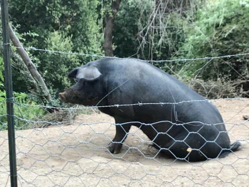 Apartamento Gite Au Paradis, Parc Animalier