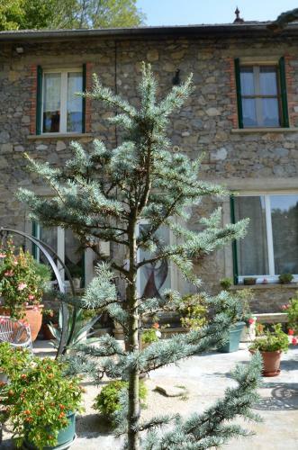 Bed & Breakfast Chambre D H�tes Bounty