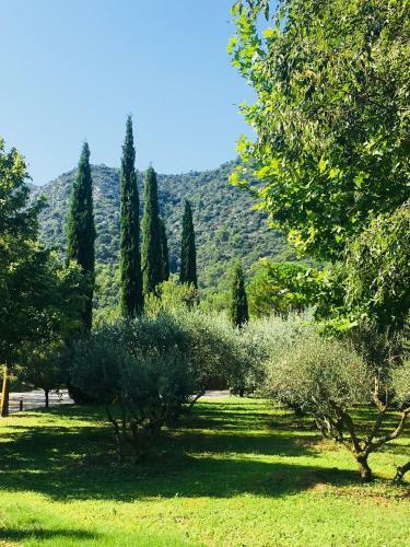 Bed & Breakfast Le Champ Des Oliviers