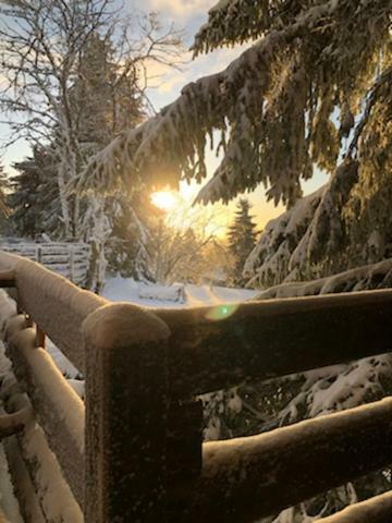 Le Chalet Du Loup