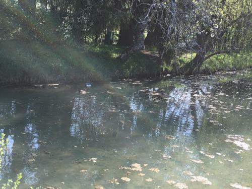 Bed & Breakfast Au Bord de La Dhuy