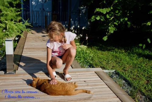 Bed & Breakfast Les Nymph�as 52