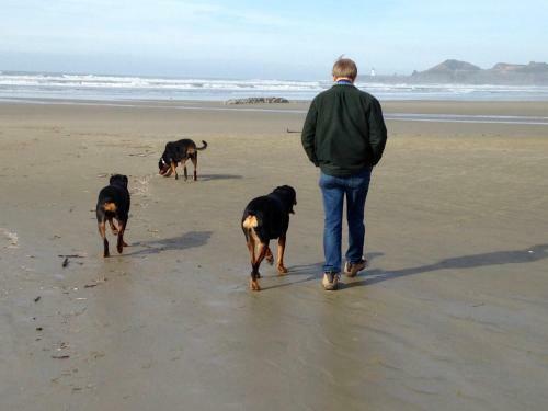 Yaquina Surf Camp