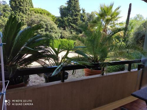 Apartamento Residence Les Palmiers