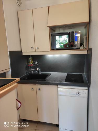 Apartamento Residence Les Palmiers