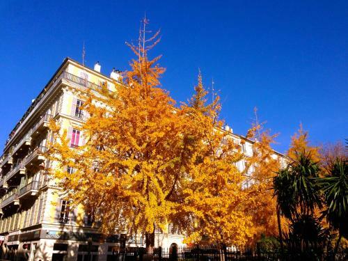 Apartamento Studios Nice French Riviera