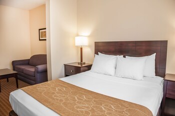 Hotel Comfort Suites Marion