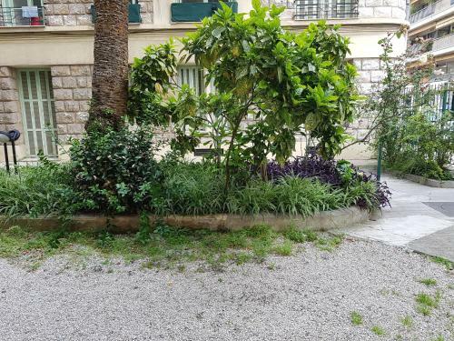 Apartment Proche Mer