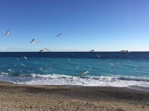 Apartamento Nice 115 By The Sea