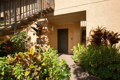 Apartamento Beach Front King Bed Ocean View Studio In Wailea Ekahi