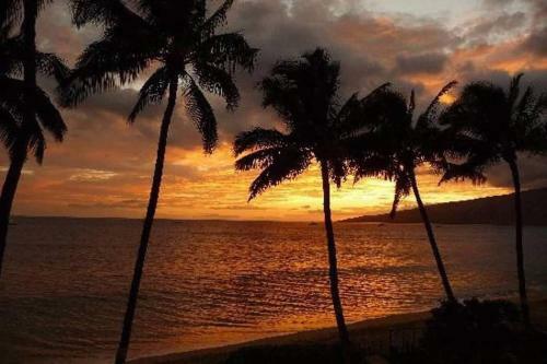 Apartamento King Suite: Walk To Beach, Pool