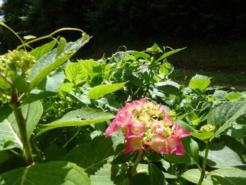 Bed & Breakfast Le Moulin De Cors
