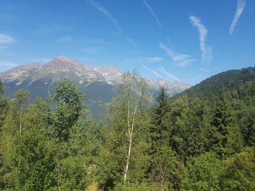 Apartamento Appartement Le Pic Blanc