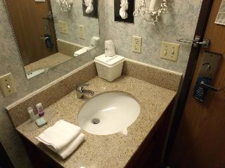Hotel Travelodge - Davenport
