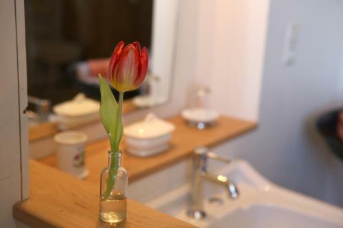 Bed & Breakfast Le Couvent De Neuviale
