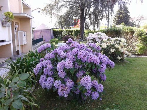 Apartamentos Les Floralies