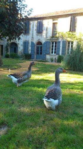 Bed & Breakfast Maison Doat 1823