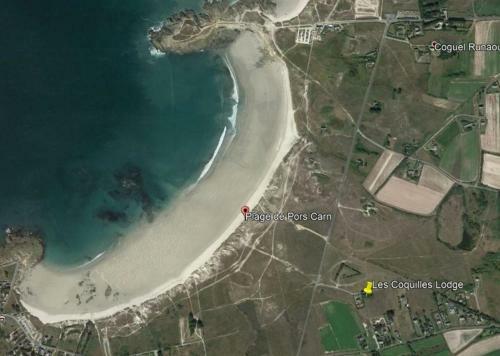 Les Coquilles La Torche