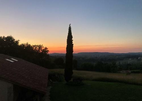 La Bastide Portoly B&B "pruneaux"