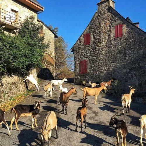 Domaine Les Fosses