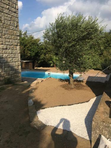 Apartamento Bottega