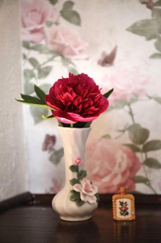 Bed & Breakfast Les Lauriers